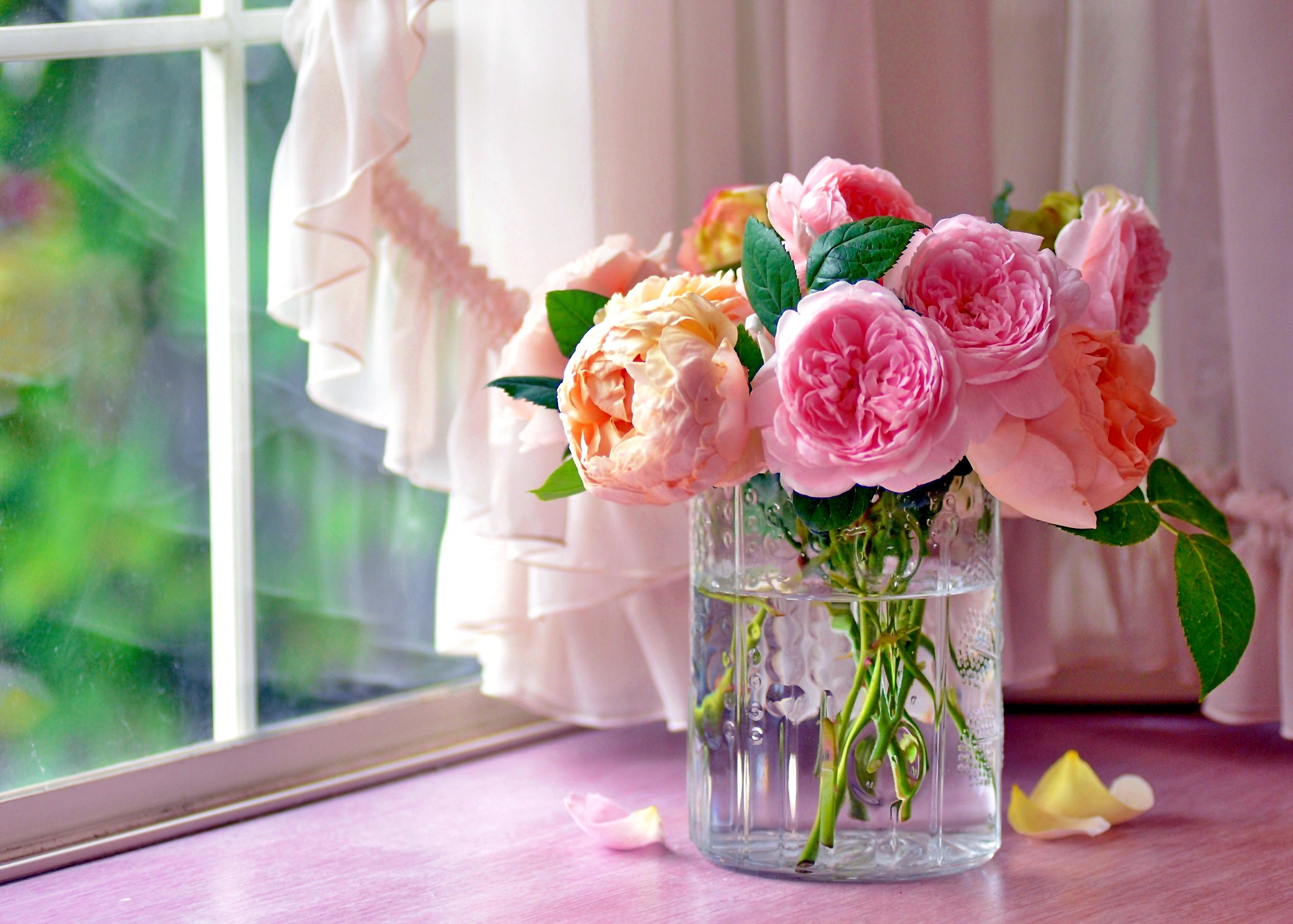 Download Pink Flower Curtain Window Vase Rose Man Made Flower HD Wallpaper