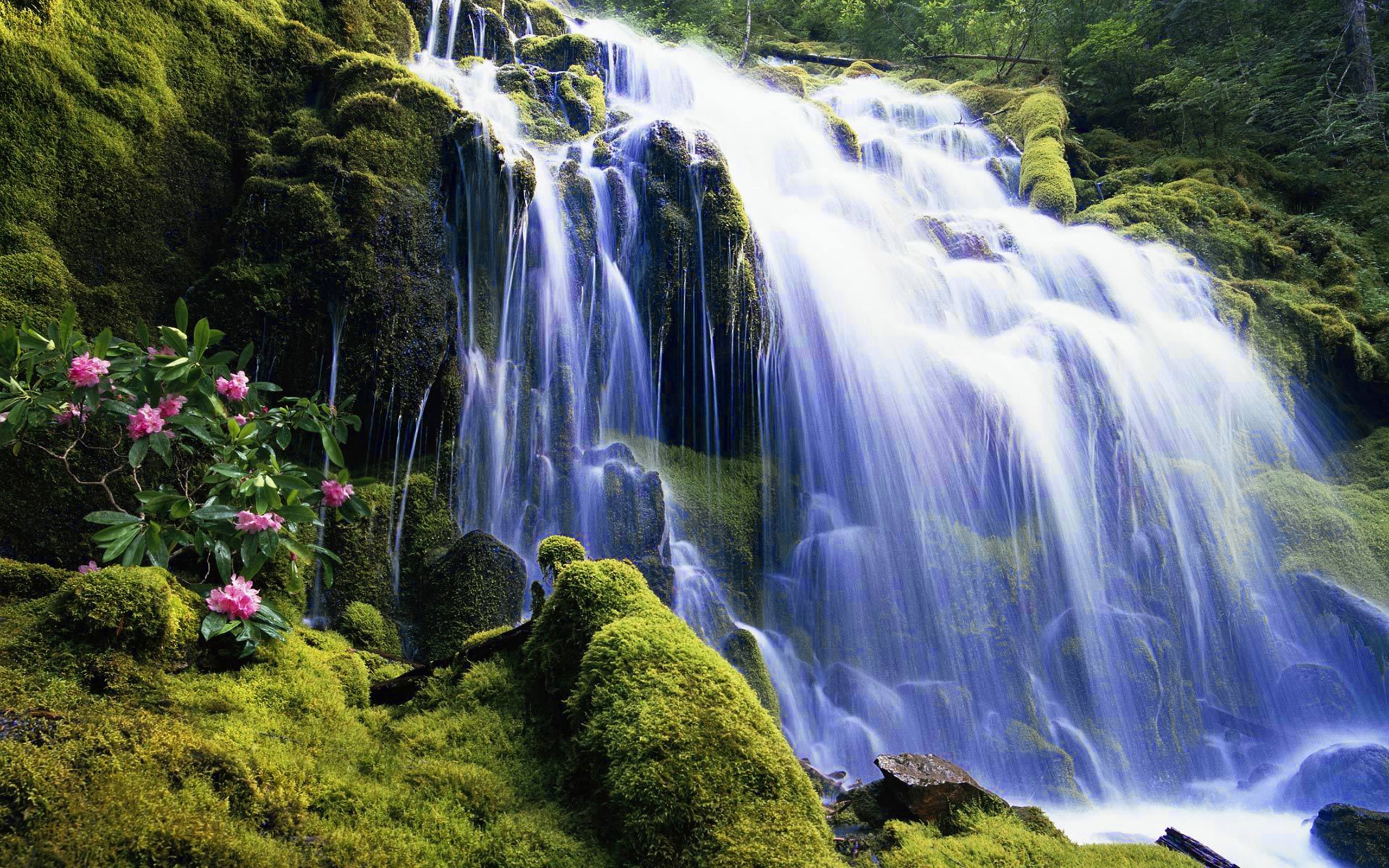 Waterfall HD Wallpaper Background Image 2560x1600 ID
