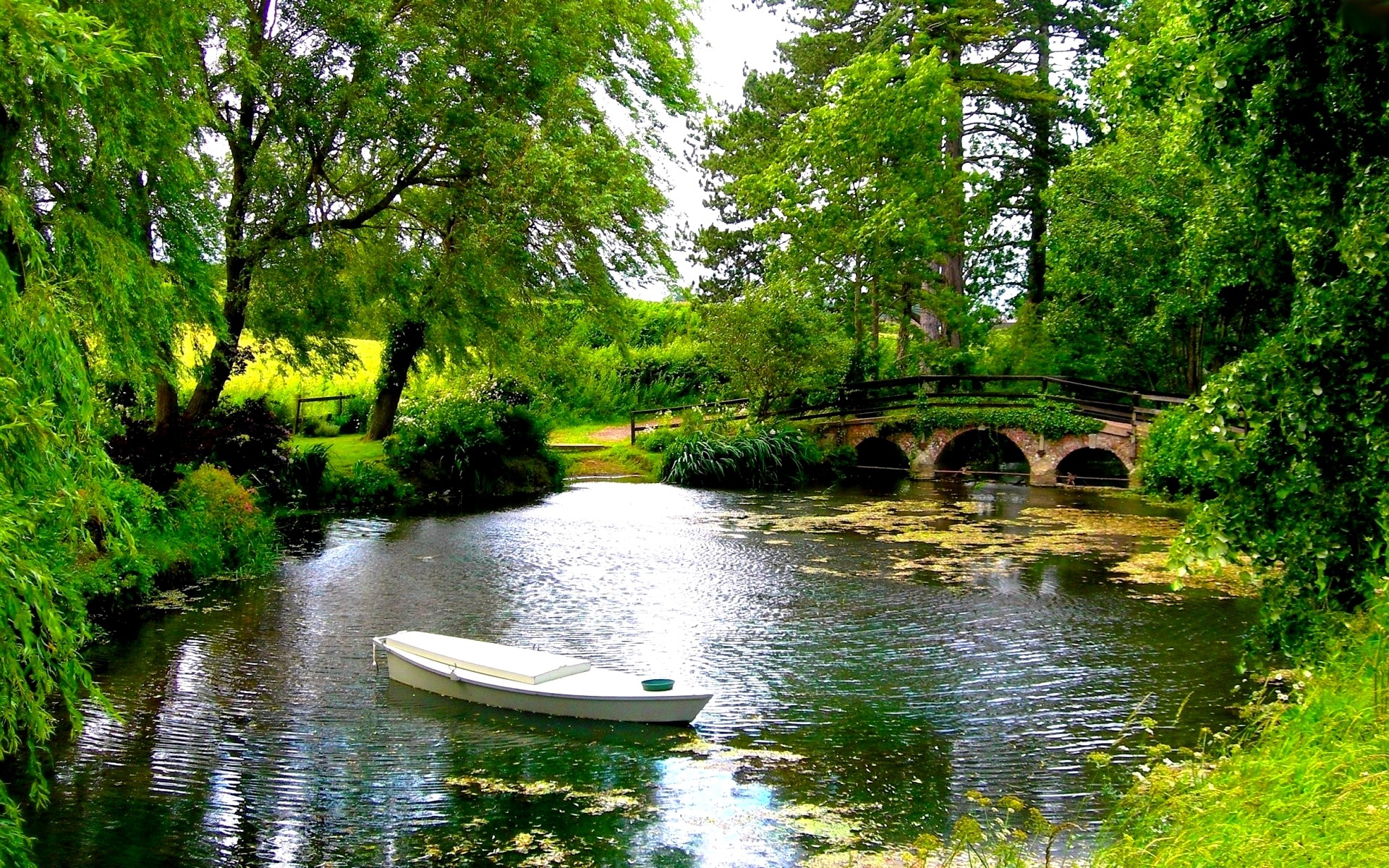 Download Greenery Tree Bridge Pond Park Photography Lake HD Wallpaper