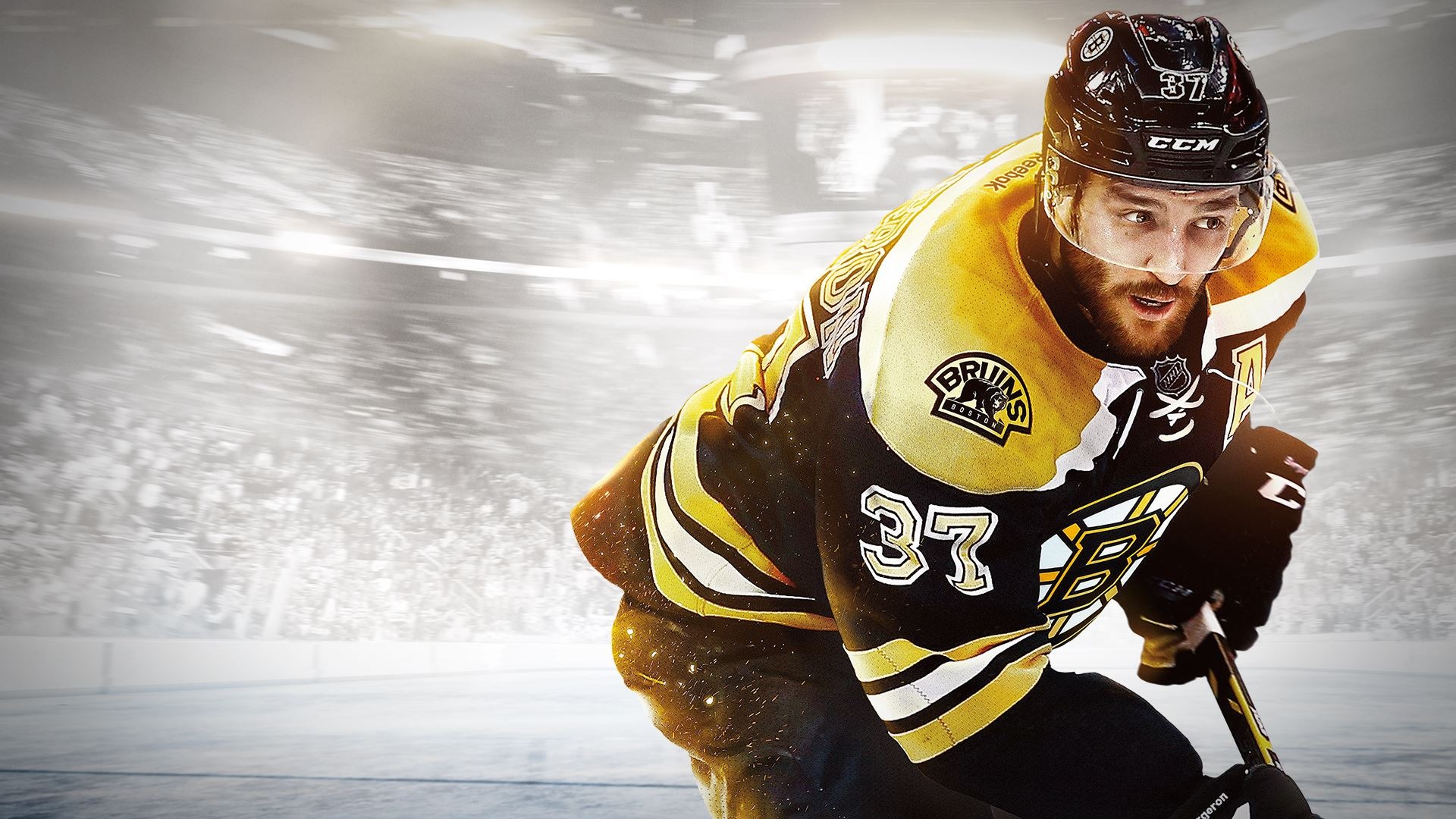 Boston Bruins HD Wallpaper Background Image 1920x1080 ID716958