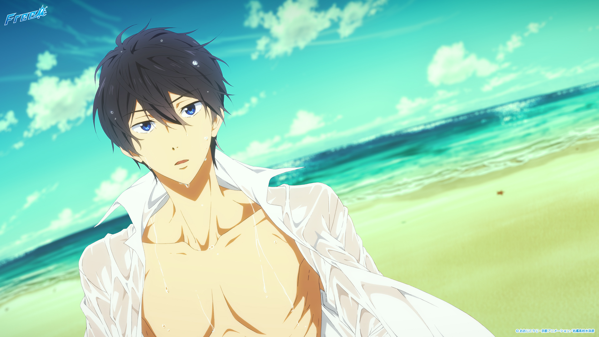 Free! HD Wallpaper Background Image 1920x1080