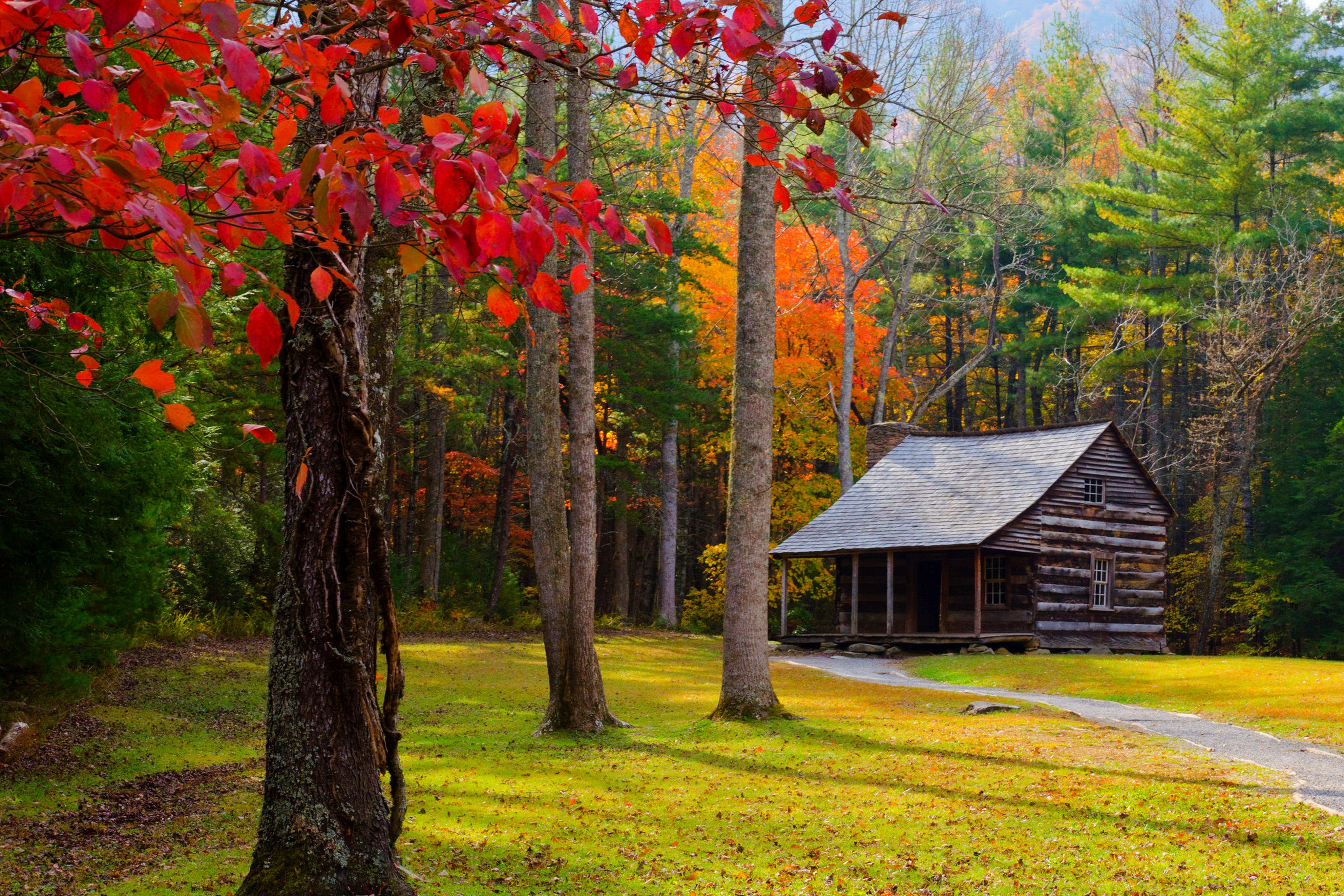 Download Fall Man Made Cabin 4k Ultra HD Wallpaper