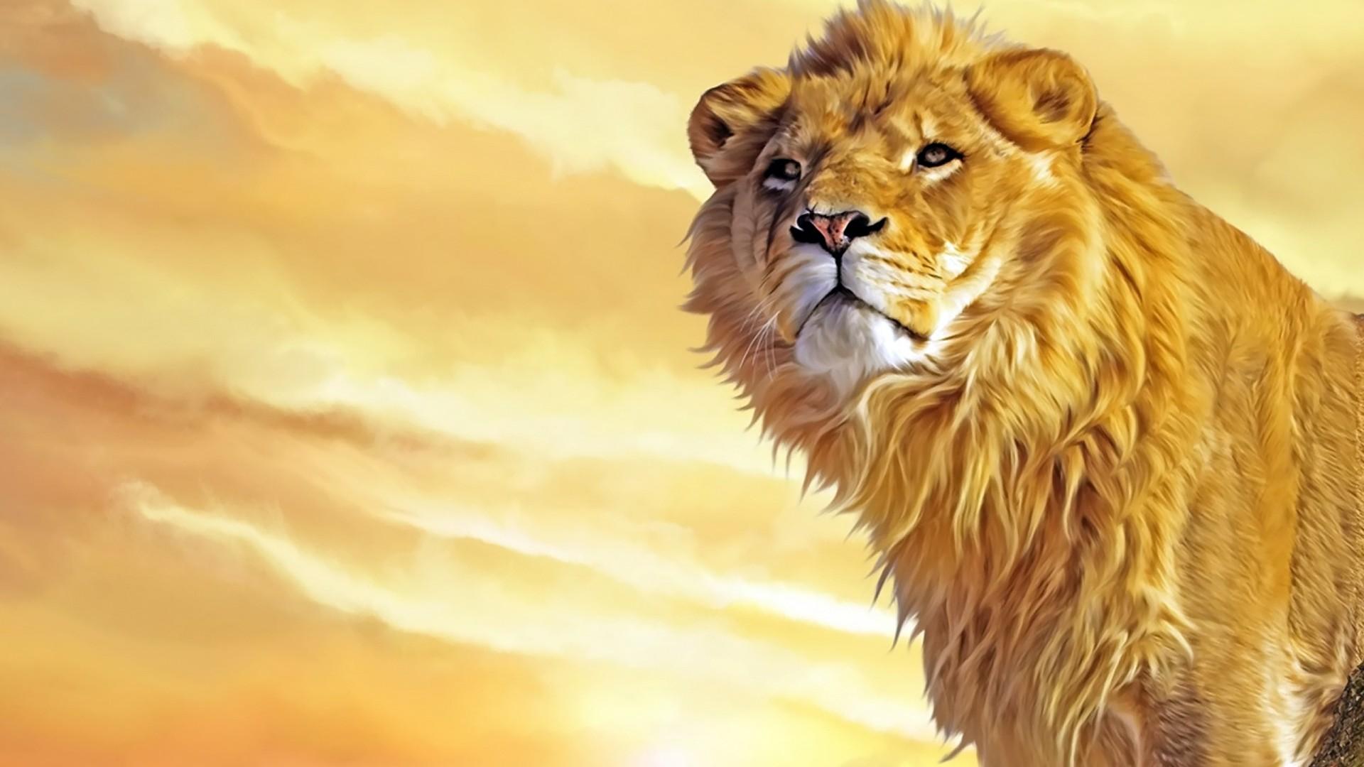 Download Animal Lion HD Wallpaper