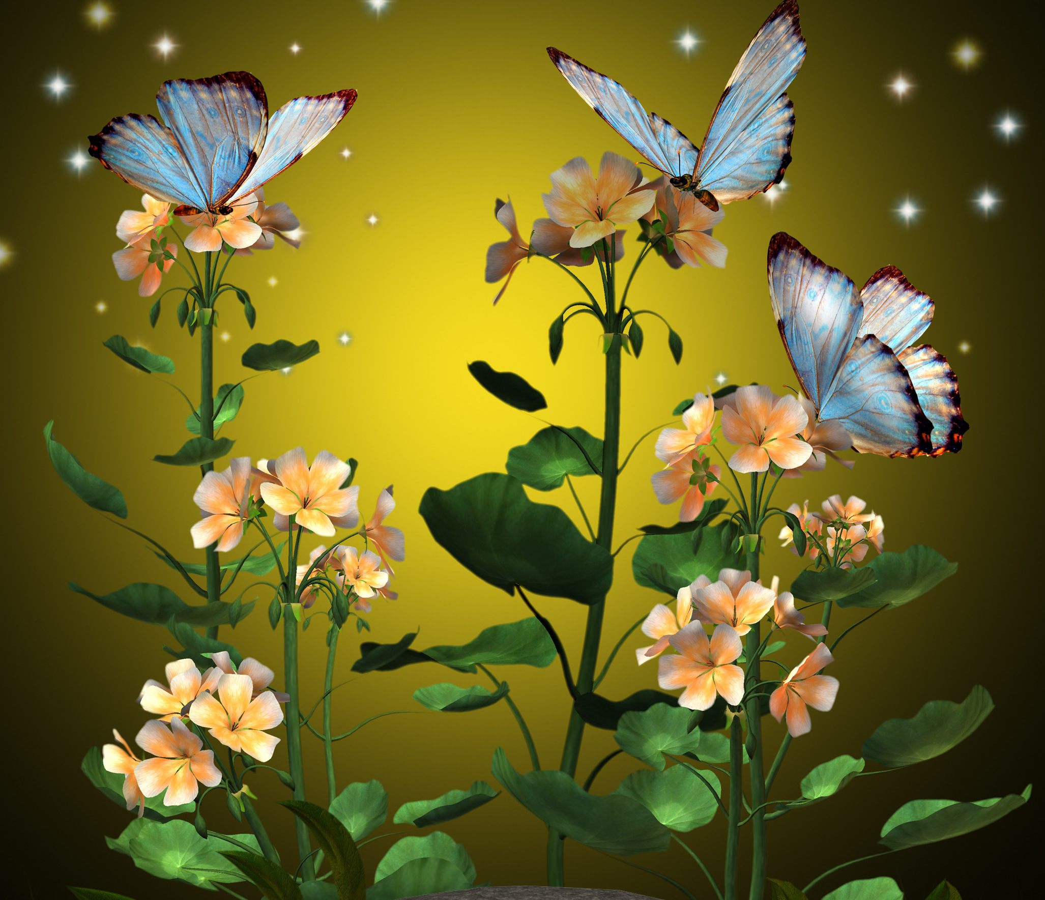 Download Colorful Flower Artistic Butterfly HD Wallpaper by MaDonna