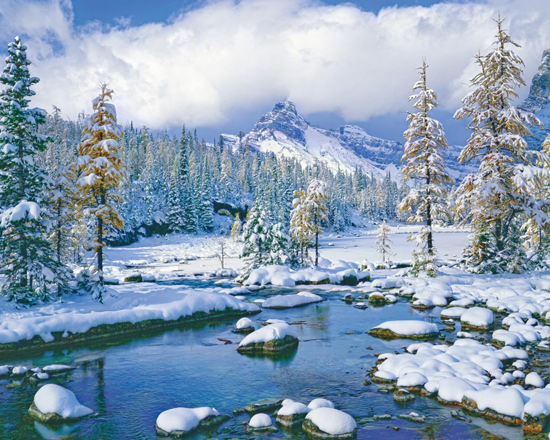 Winter Landscape HD Wallpaper Background Image 1920x1536 Wallpaper Abyss