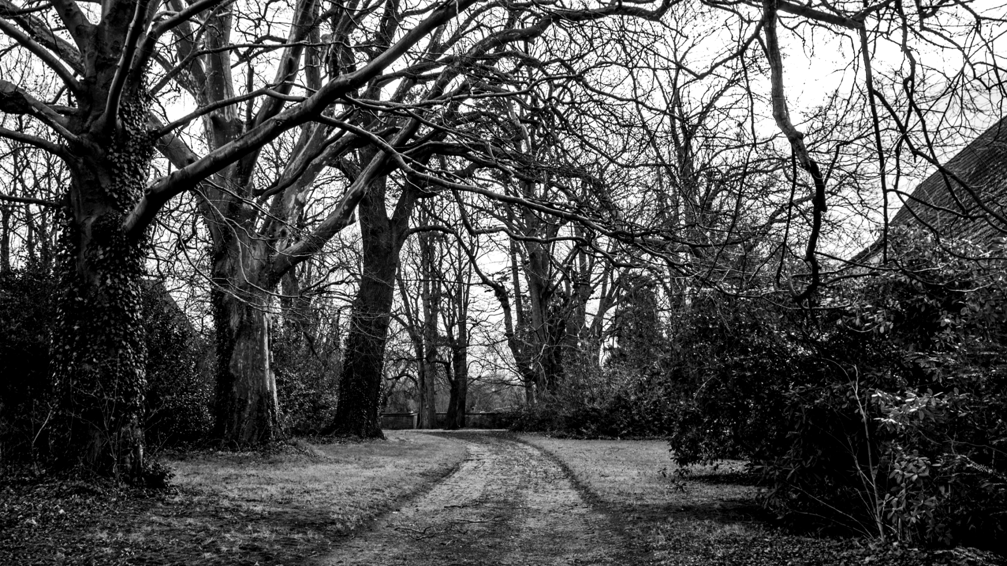 Blanco y negro Fondo de pantalla HD Fondo de Escritorio 2048x1152 ID785321 Wallpaper Abyss