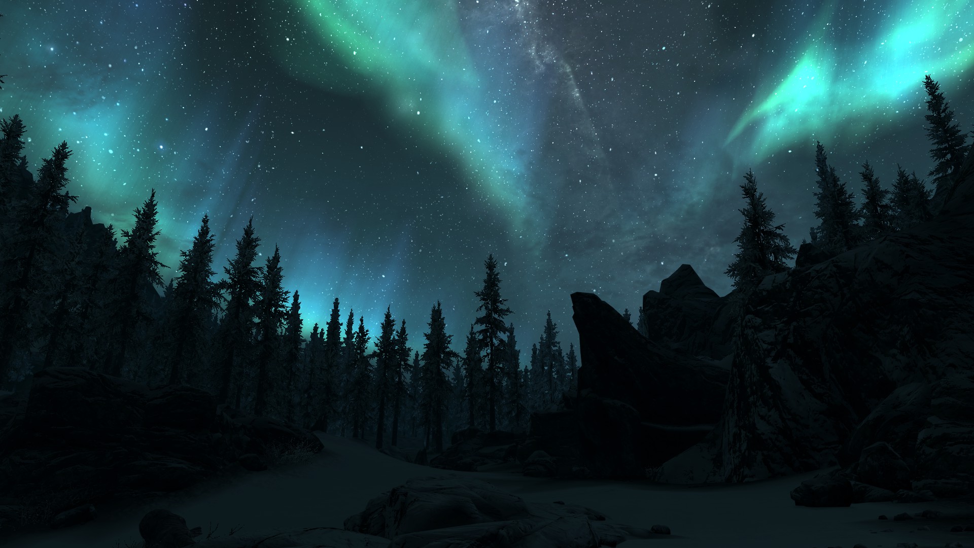 Aurora Borealis over Winter Forest
