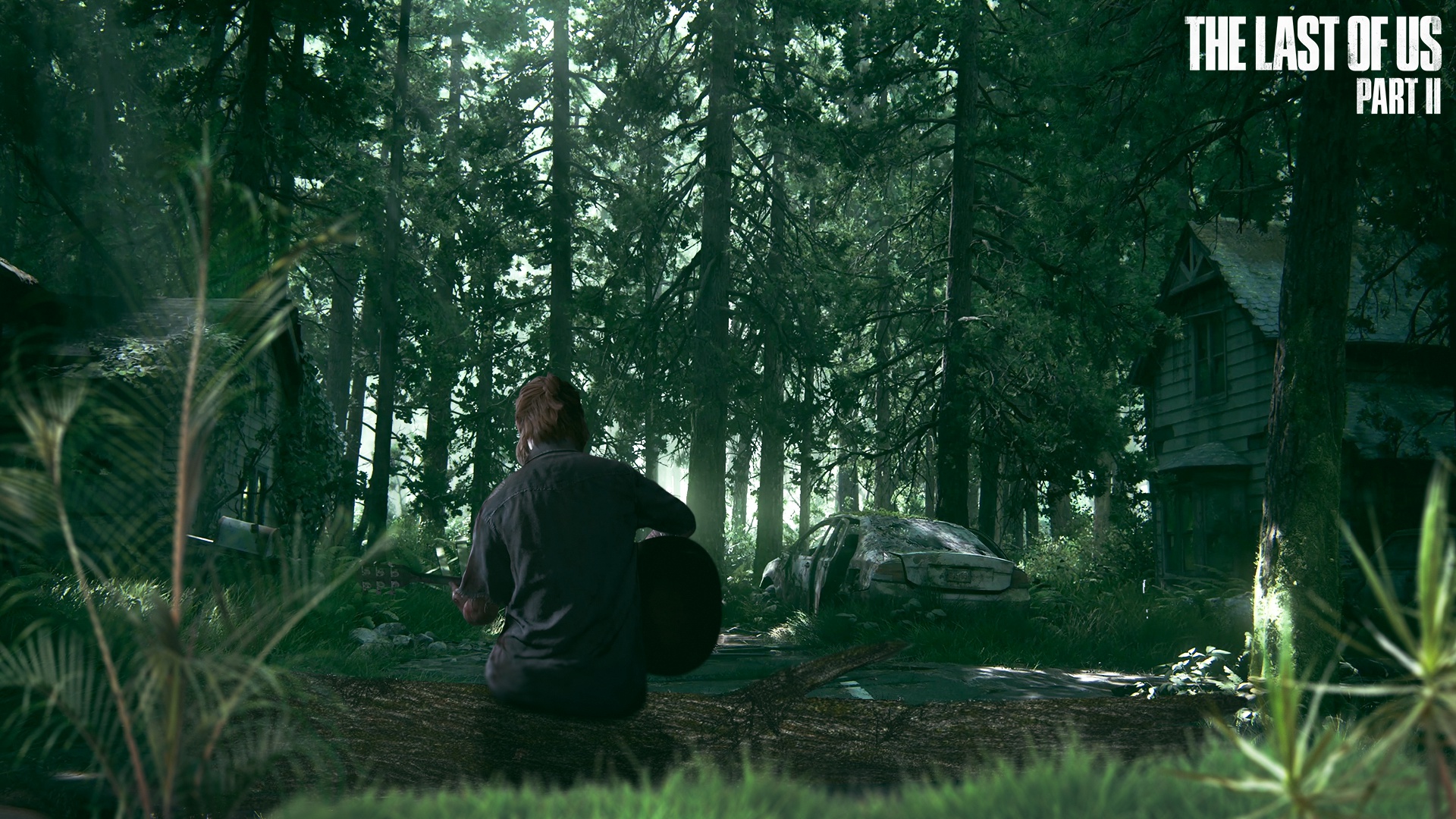 The Last of Us Part II Fondo de pantalla HD Fondo de Escritorio 1920x1080 ID788052