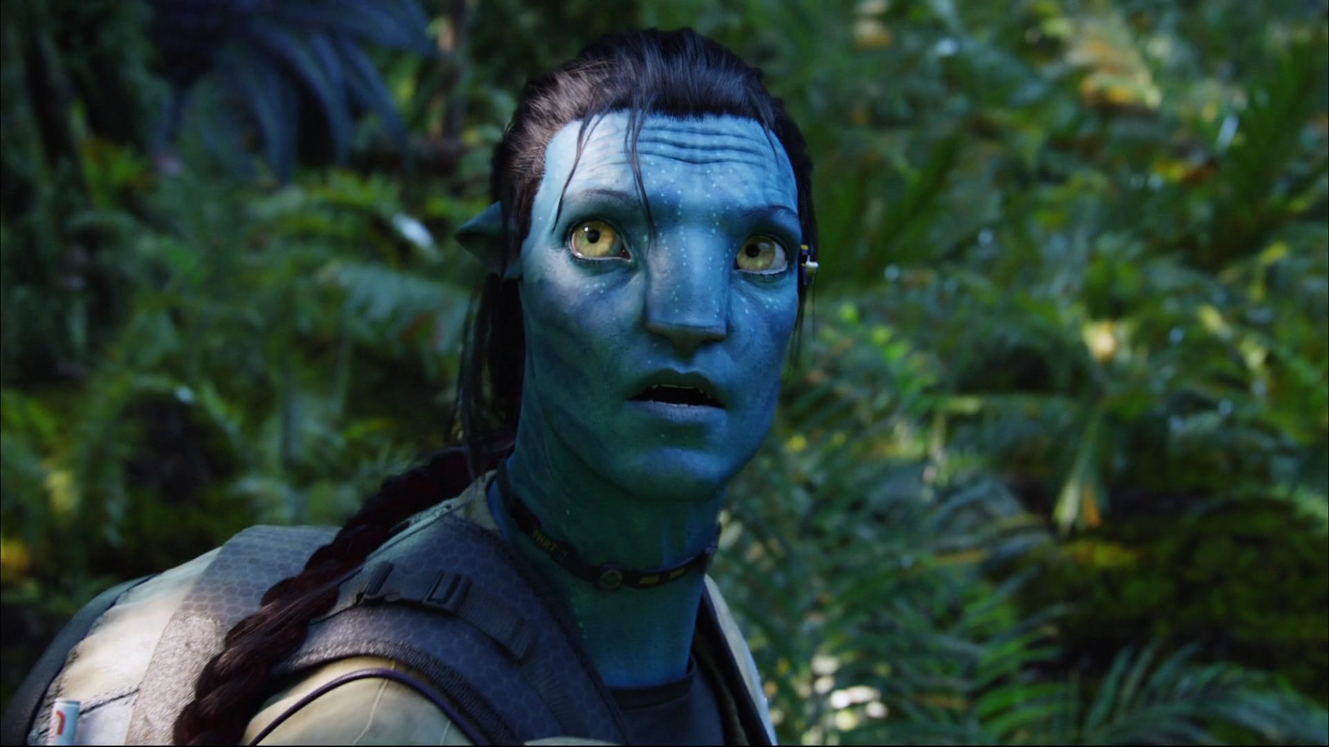 Avatar HD Wallpaper Background Image 1920x1080 ID79591