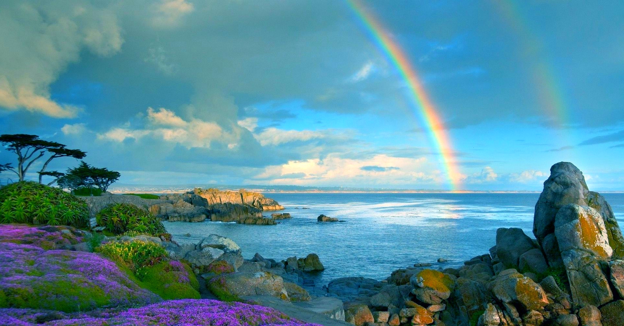Download Flower Sea Ocean Coastline Coast Sky Colors Nature Rainbow HD Wallpaper