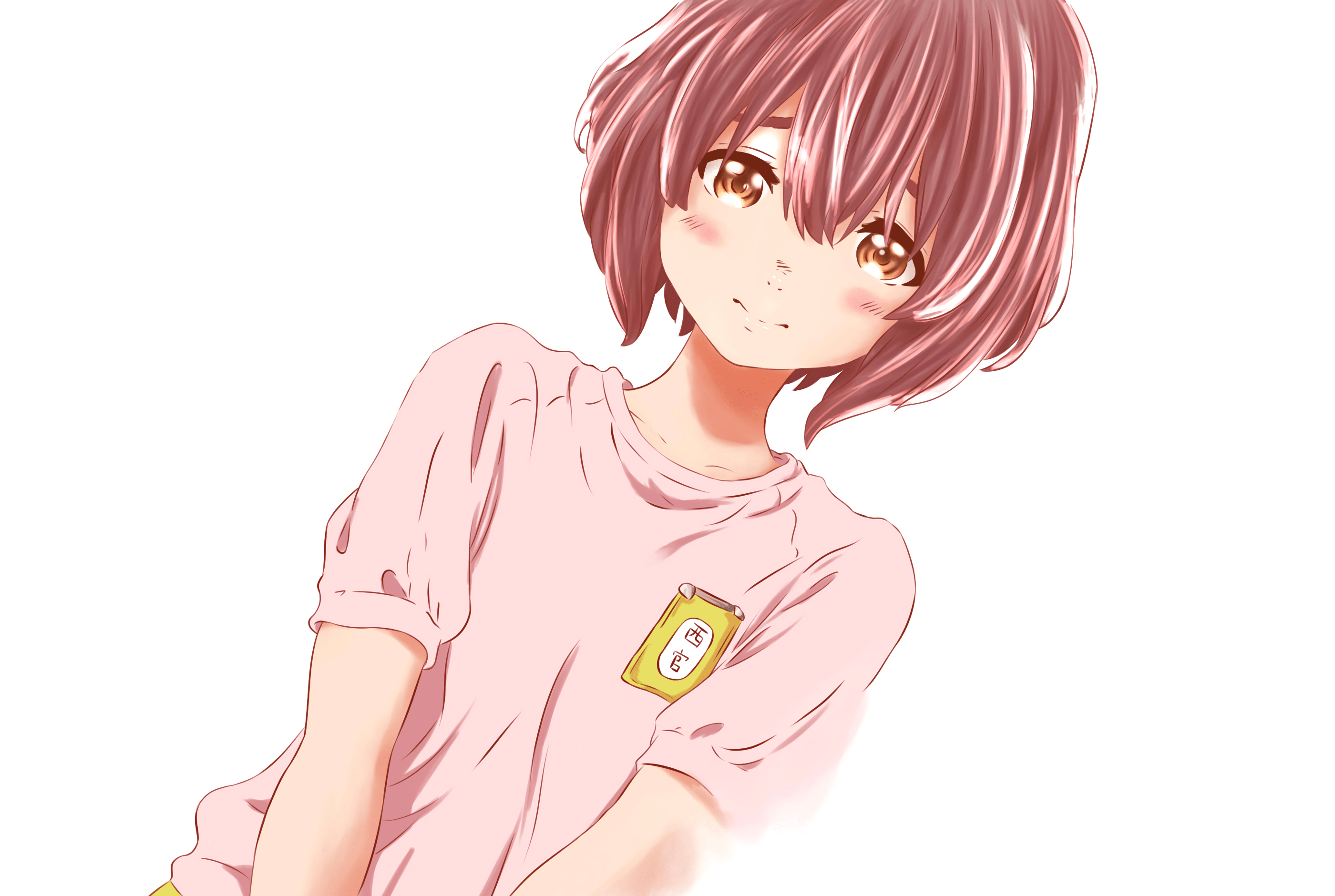 Koe No Katachi HD Wallpaper Background Image 2800x1880