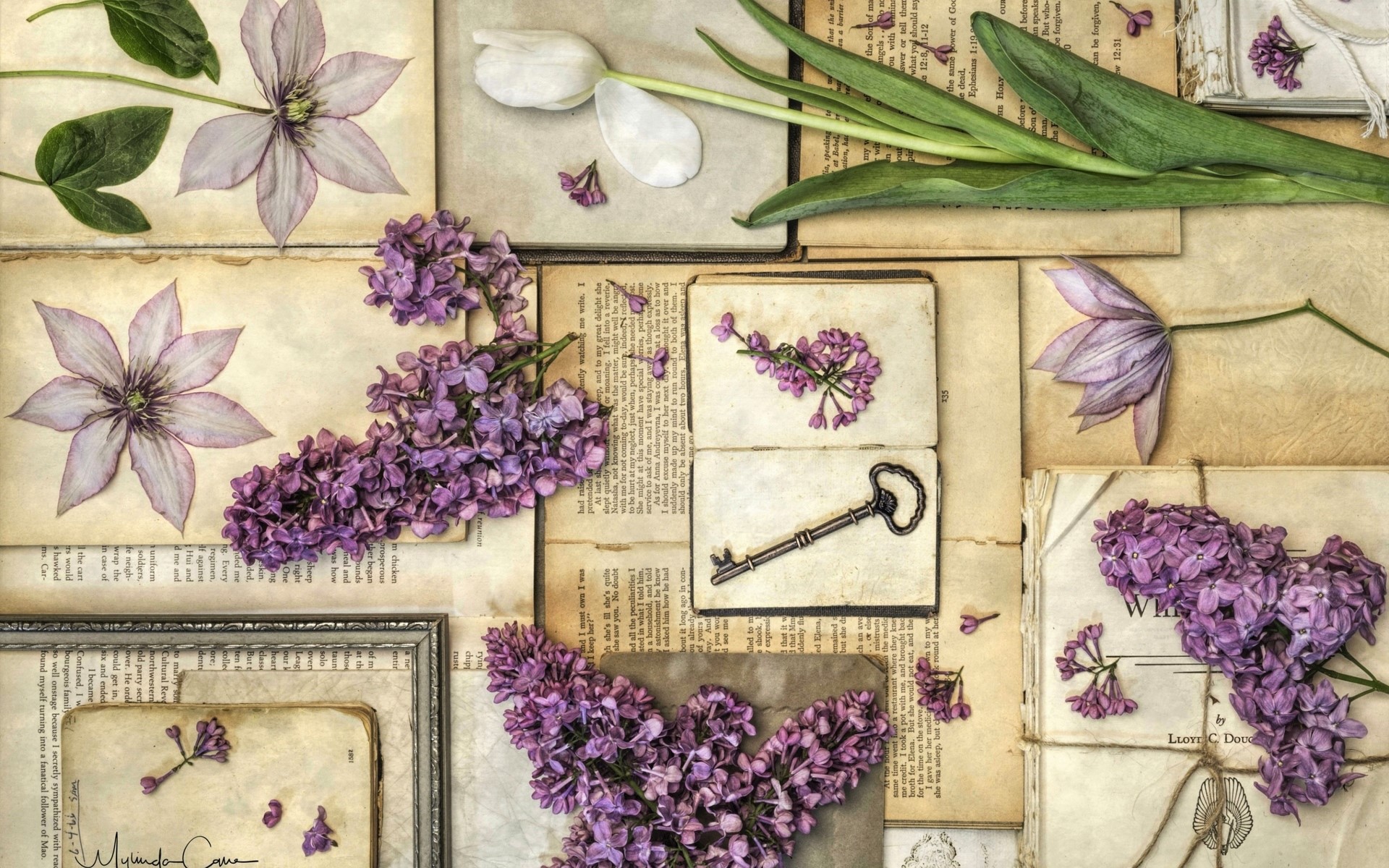 Download Key Lilac Postcard Artistic Vintage HD Wallpaper by Mylindo Cane