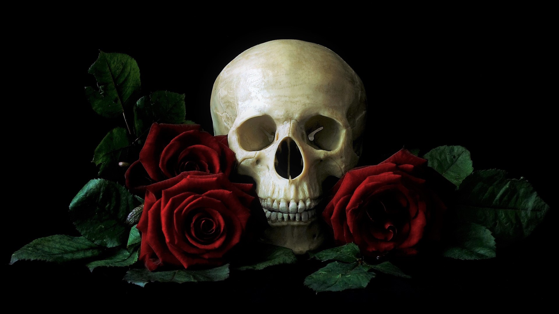 Skull and Roses HD Wallpaper Background Image 1920x1080 ID862839