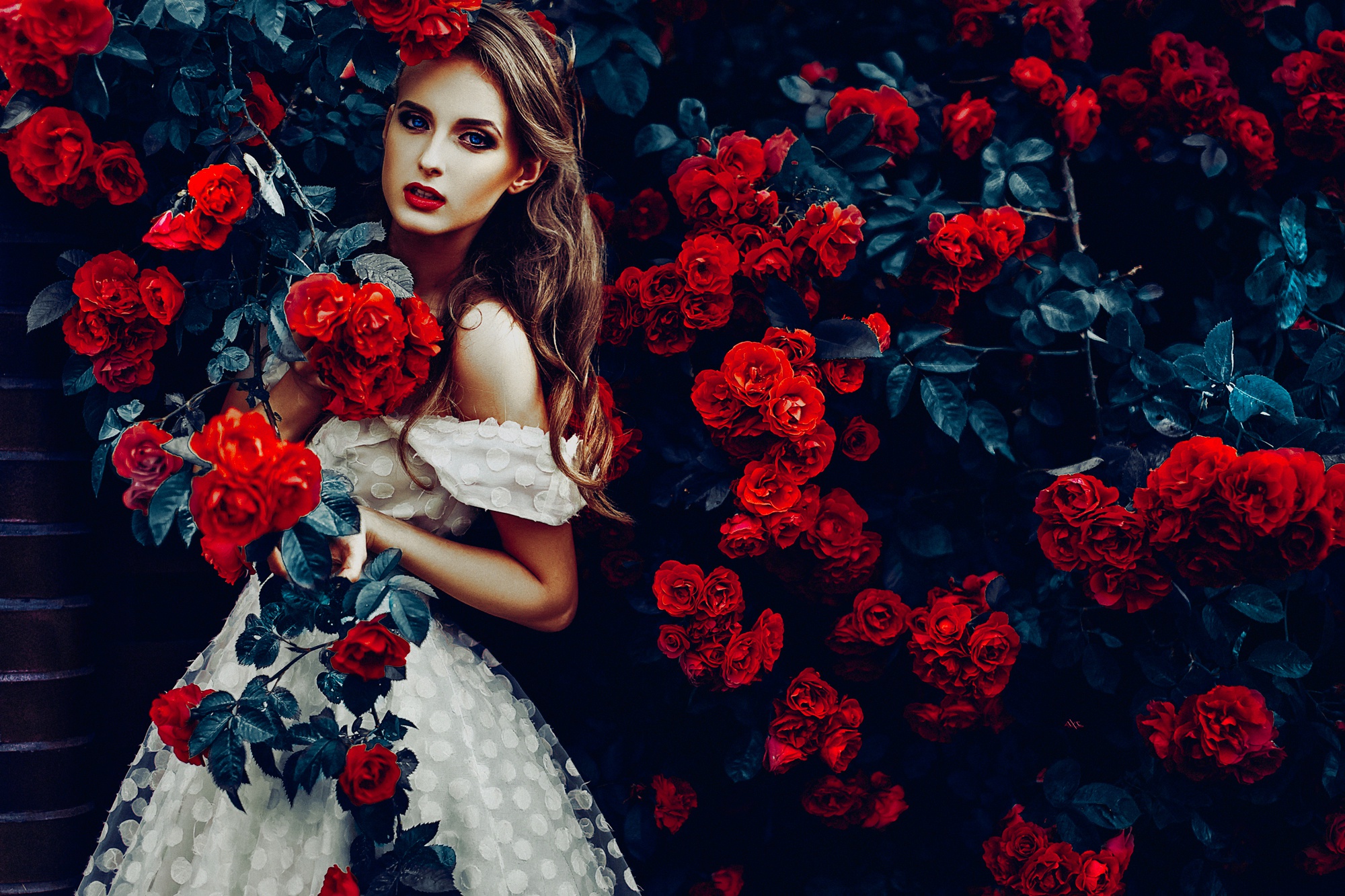 Download Red Rose Red Flower Rose Flower White Dress Blue Eyes Long