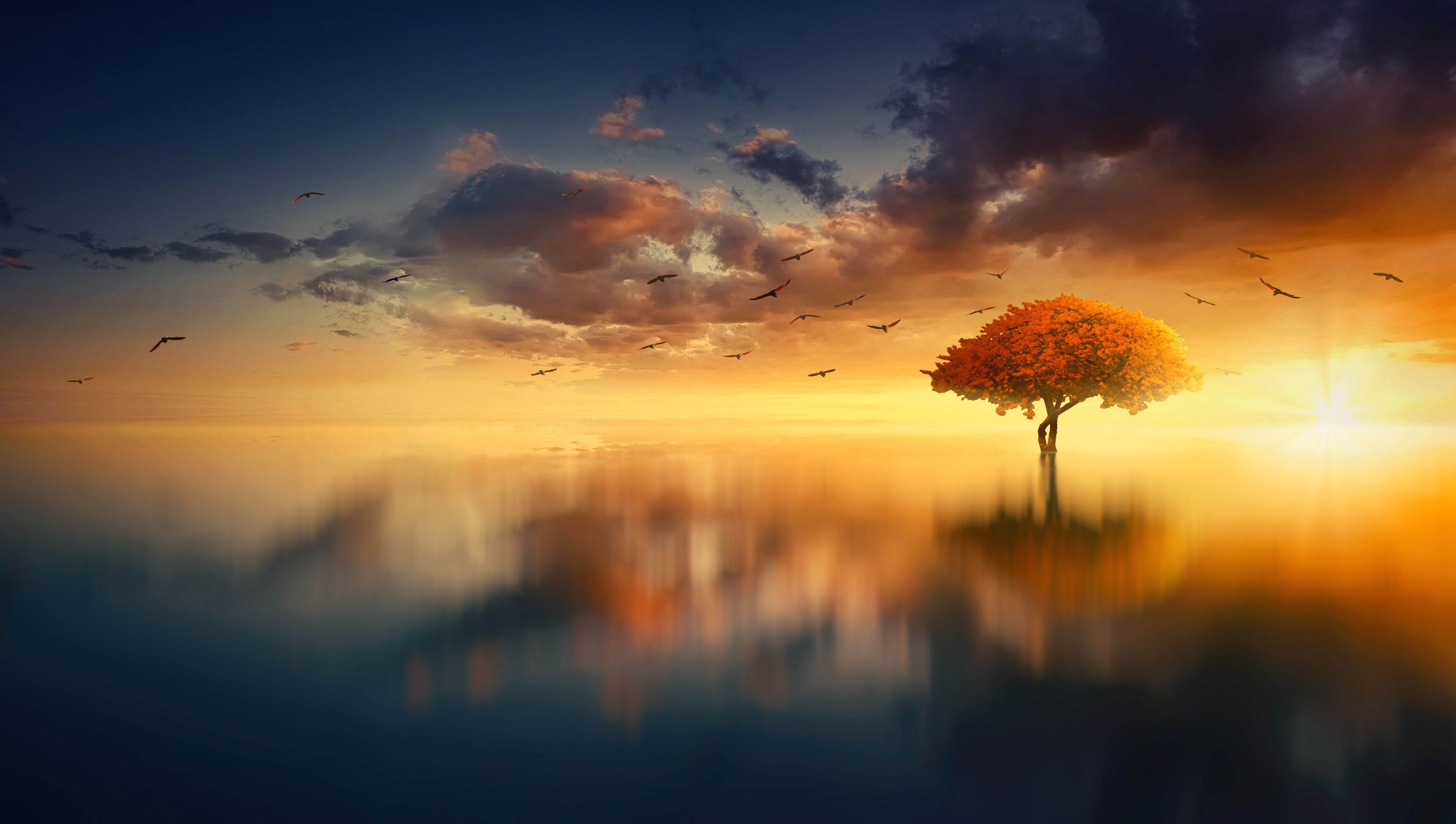 Download Nature Lake Sunset Tree 4k Ultra HD Wallpaper by Johannes Plenio
