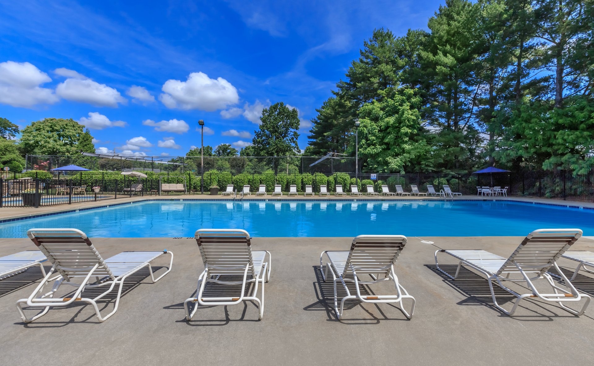 Walden Pond Apartment Homes Apartments in Lynchburg, VA