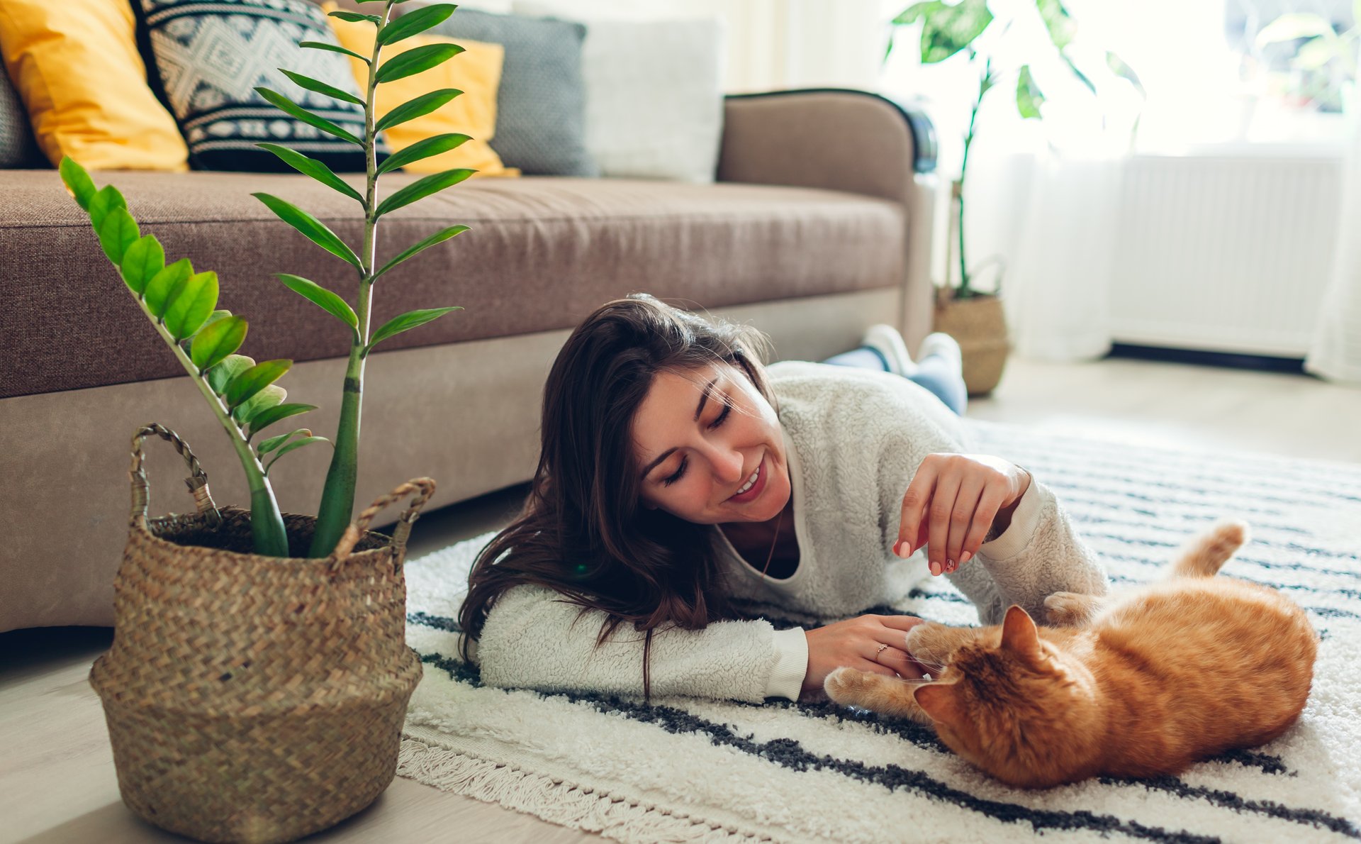 Cedarbrook Apartments Apartment Living in Hanford, CA