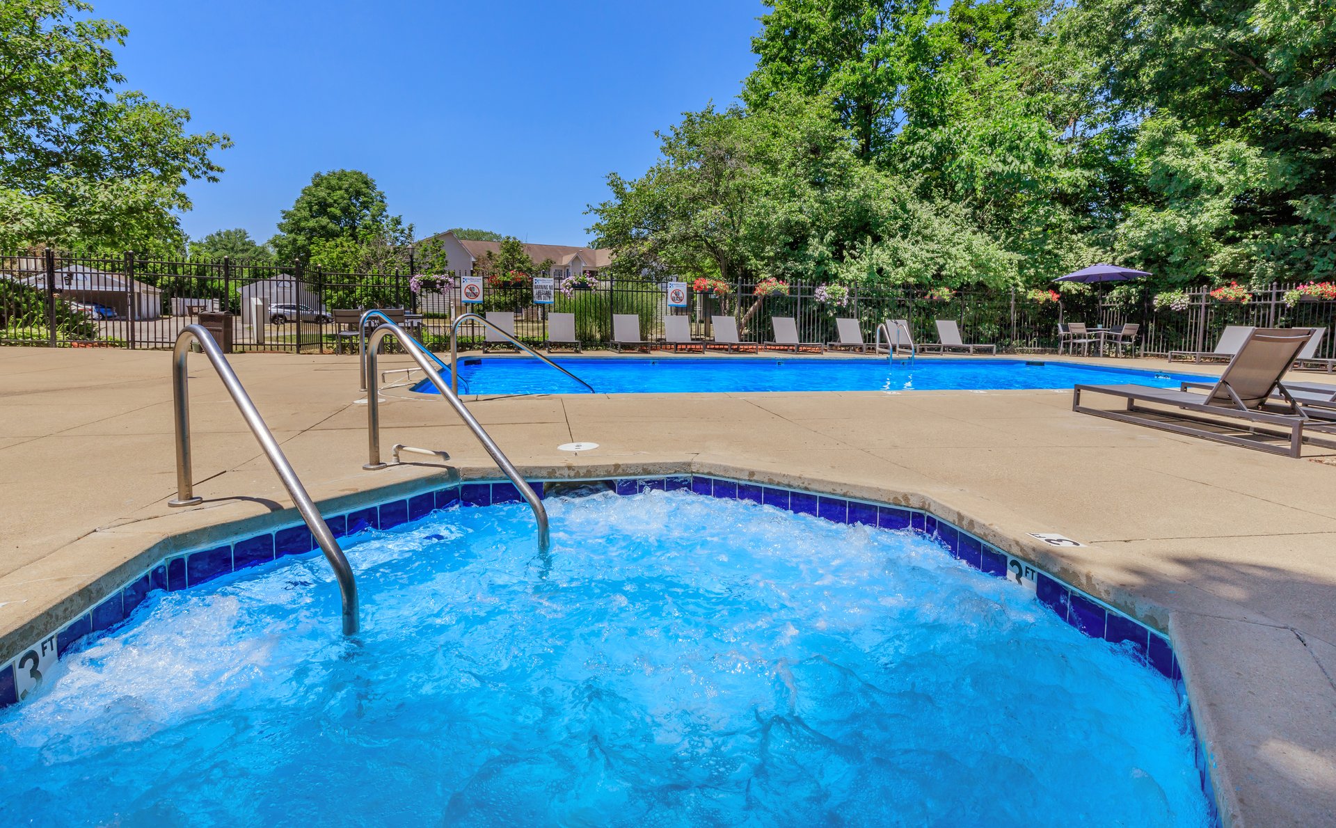 Are Dogs Allowed In Apartment Pools