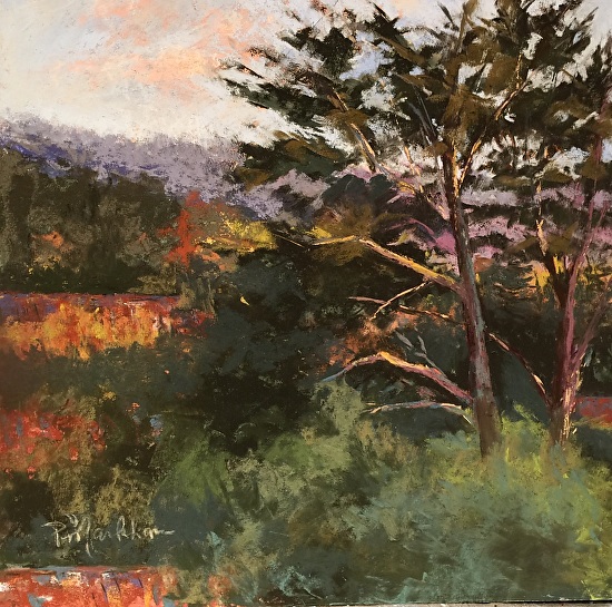 Pam Markham Work Zoom California View