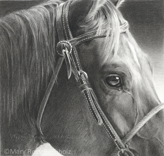 Mary Ross Buchholz Work Zoom Ranch Ready