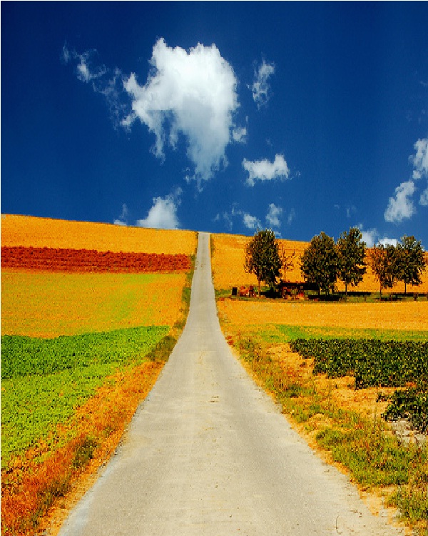 RoadsMost Common Dreams And Their Meaning