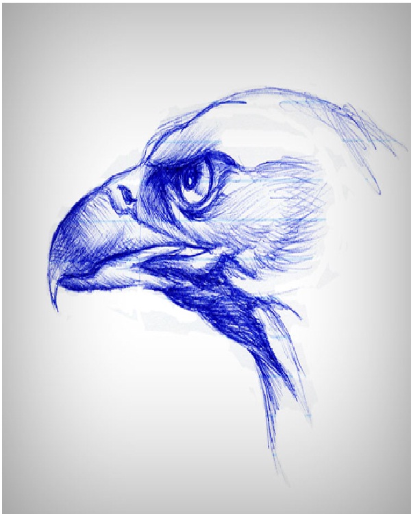 List 98+ Pictures What To Draw With A Pen Completed 10/2023