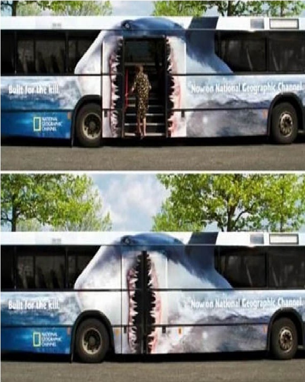 Amazing Bus Paint Jobs