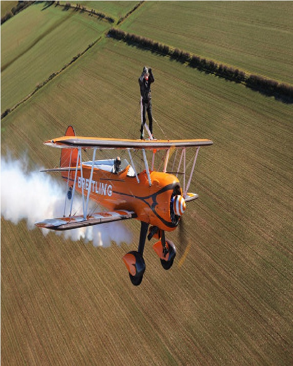Old Wing Walker15 Craziest World Records Ever Created