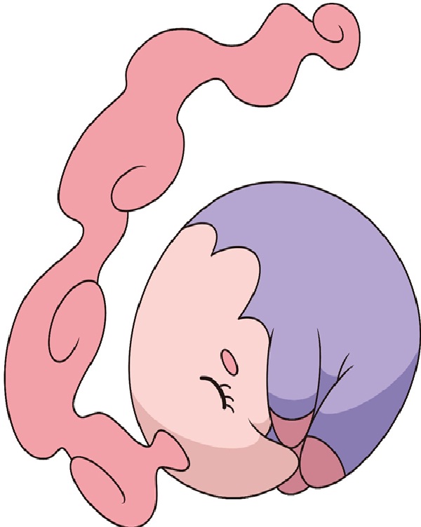 Disgusting Looking Pokemon Characters