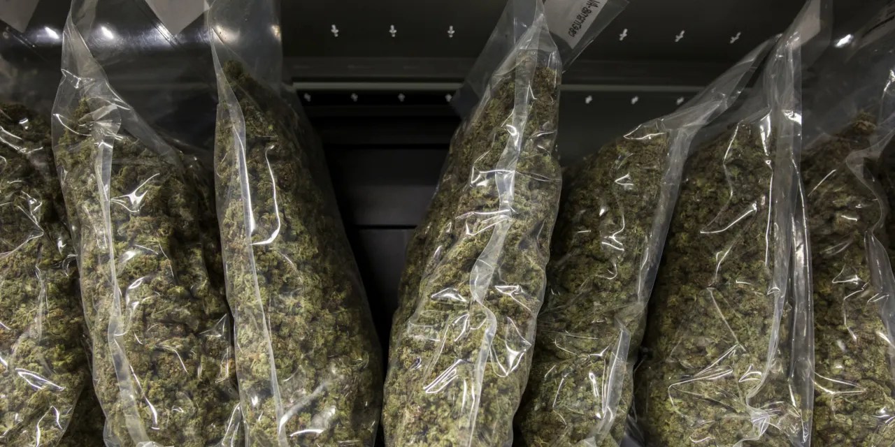 Marijuana Stock Canopy Growth Reported Earnings. Why Its Stock Is