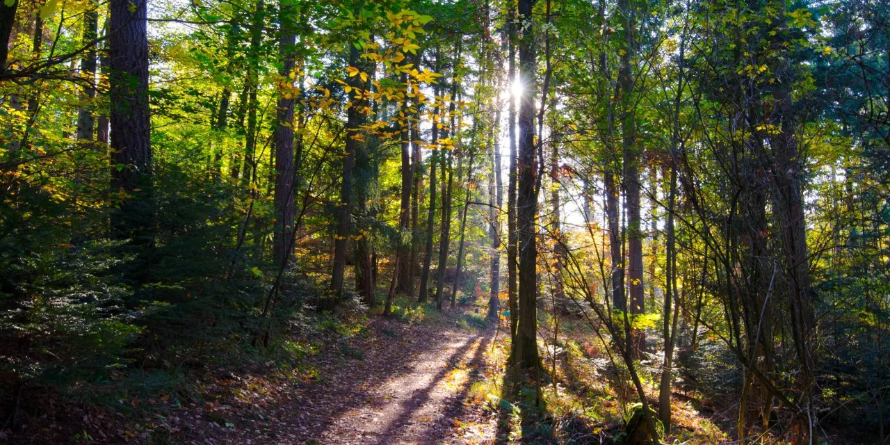 ESG in Your 401(K) Is Mixing Your Beliefs With Your