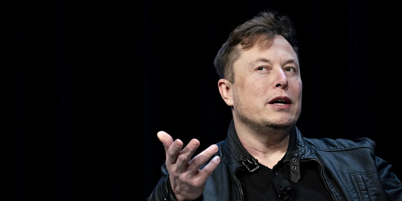 ‘Live Your Life Like Elon Musk’ Why Some Financial Advisors Say It’s