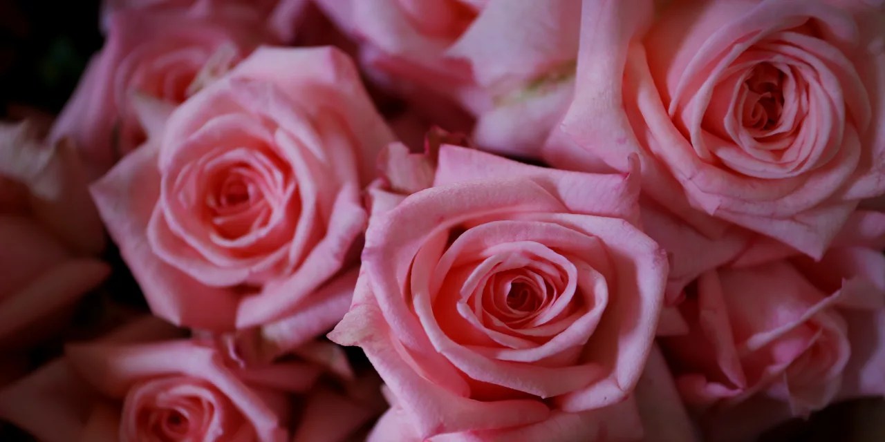 Will Inflation Be the Thorn on the Rose This Mother’s Day? One Florist Says the Cost of Flowers