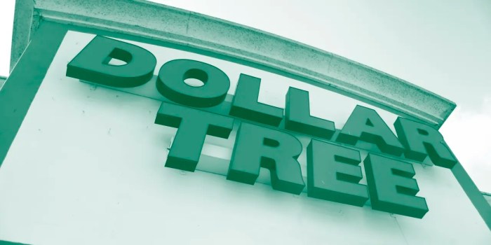 What is the net worth of dollar tree