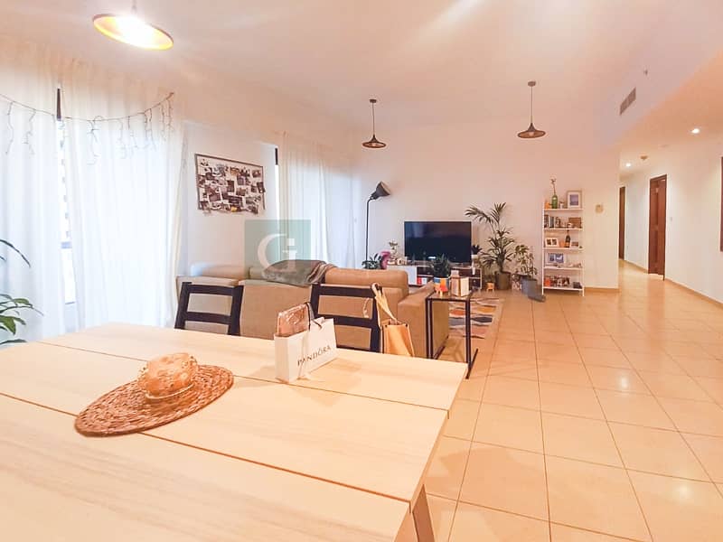 Spacious Apartment Stunning View