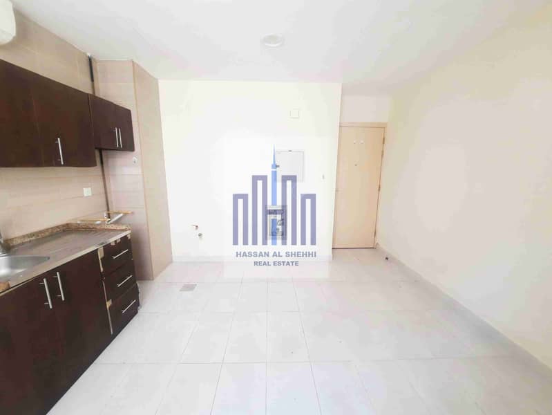 Lavish Studio Apartment // With Seplet AC // Ready To Move For Family