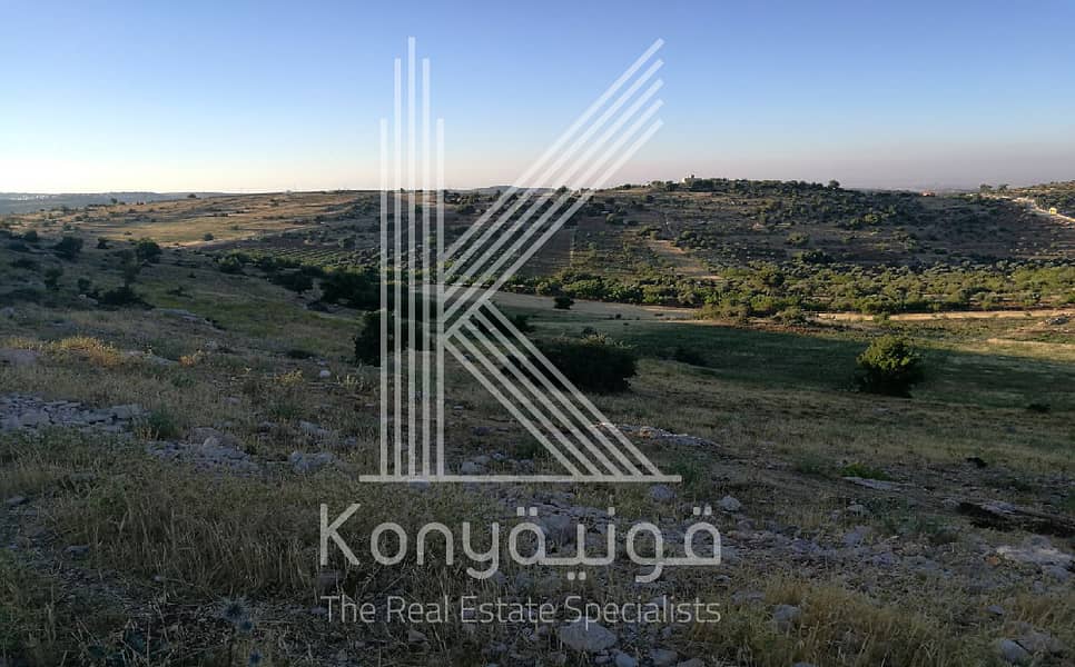 Residential land for Sale in Umm Qais, Irbid IDKN25738 Land for