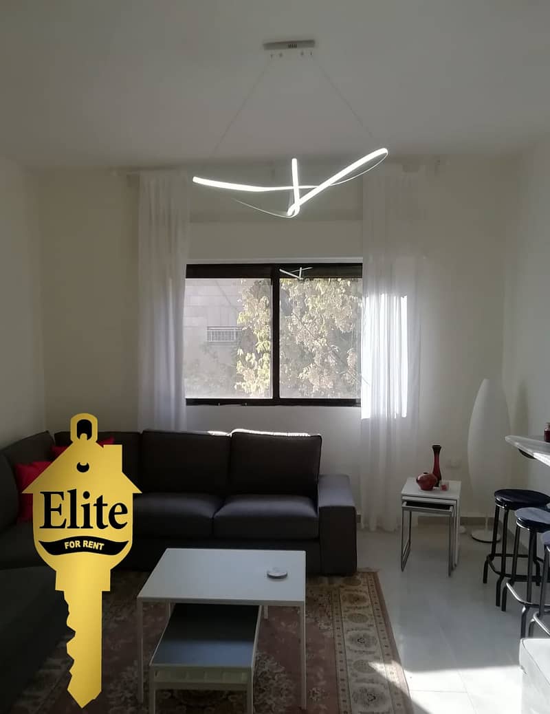 Apartment for Rent in Shmeisani, Amman IDelitejor111 ستديو للايجار