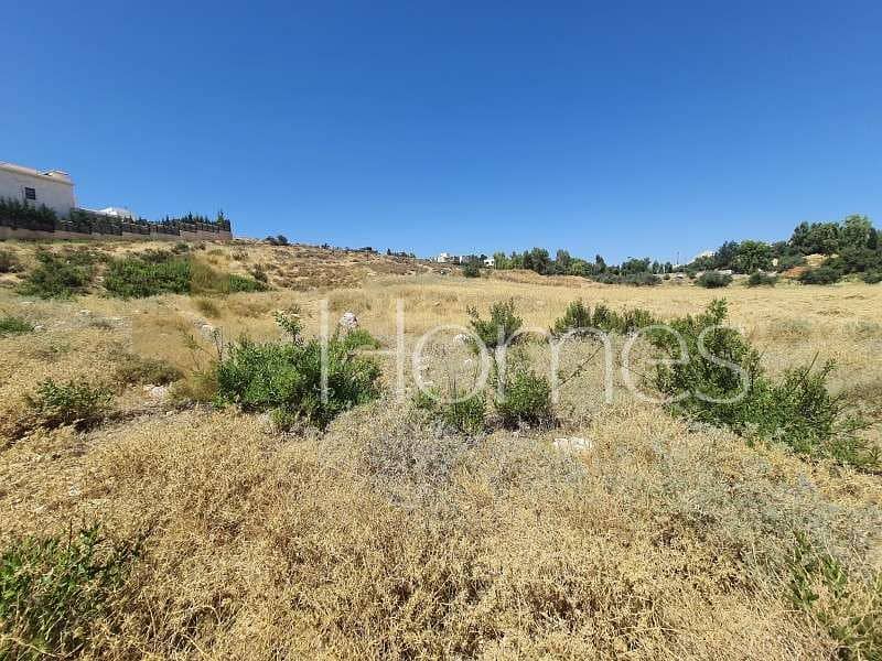 Residential land for Sale in Al Bunayyat, Amman IDHMMR4659 Land for