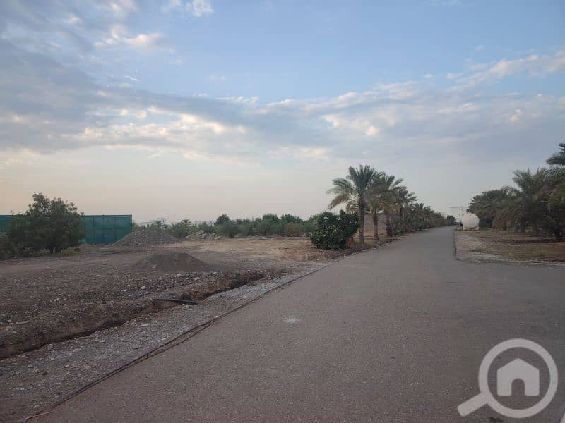 Farm for rent Bayut.om