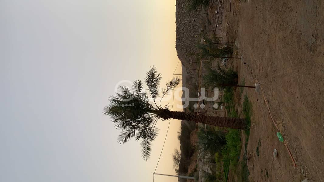 مزرعة للبيع في السيل الصغير مزر، الطائف 87462162 بيوت