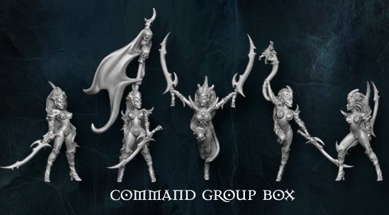 Raging Heroes Blood Vestals Ask for your Offerings OnTableTop Home