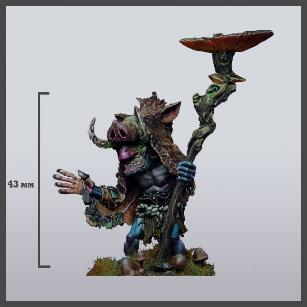 愛されし者 5e Goblin Shaman けんしねまわっl