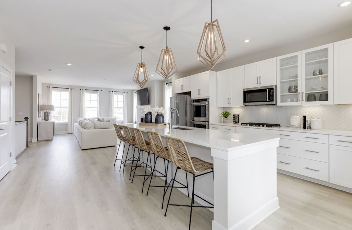 Woodland Home Plan in Townhomes at Potomac Shores, Dumfries, VA