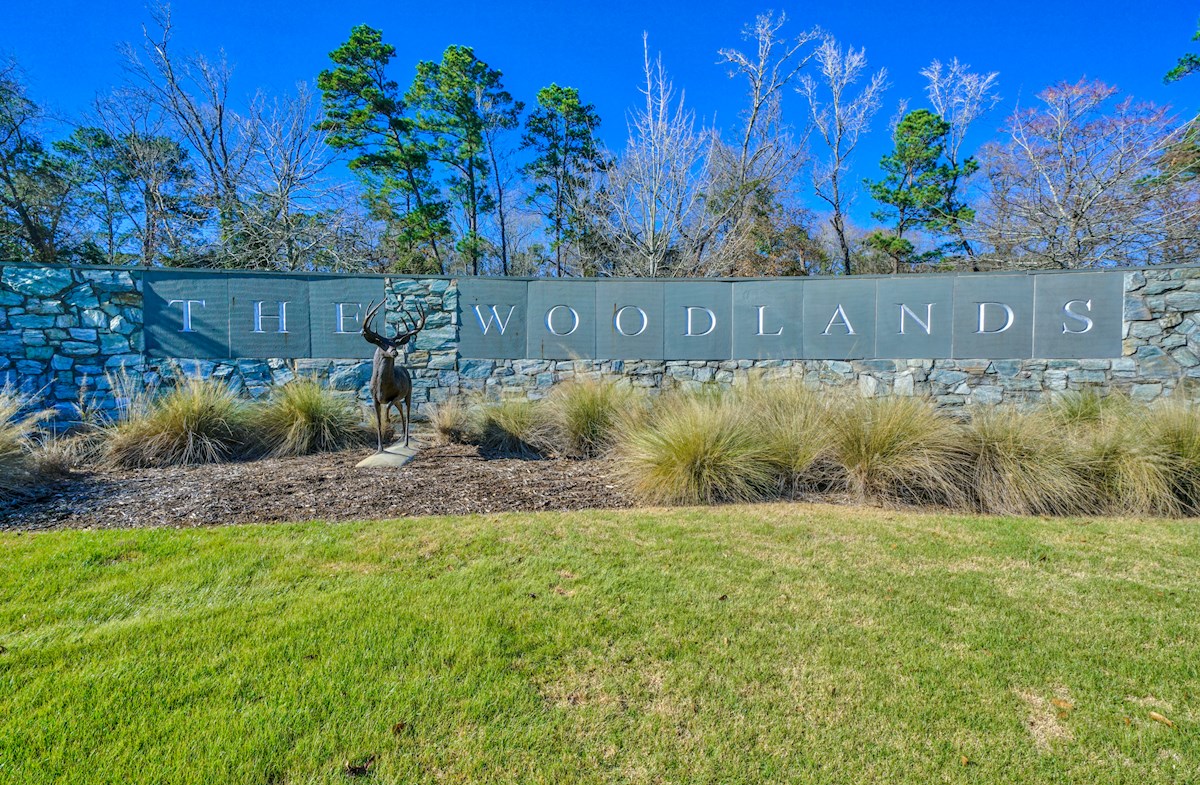 The Woodlands Townhomes Beazer Homes