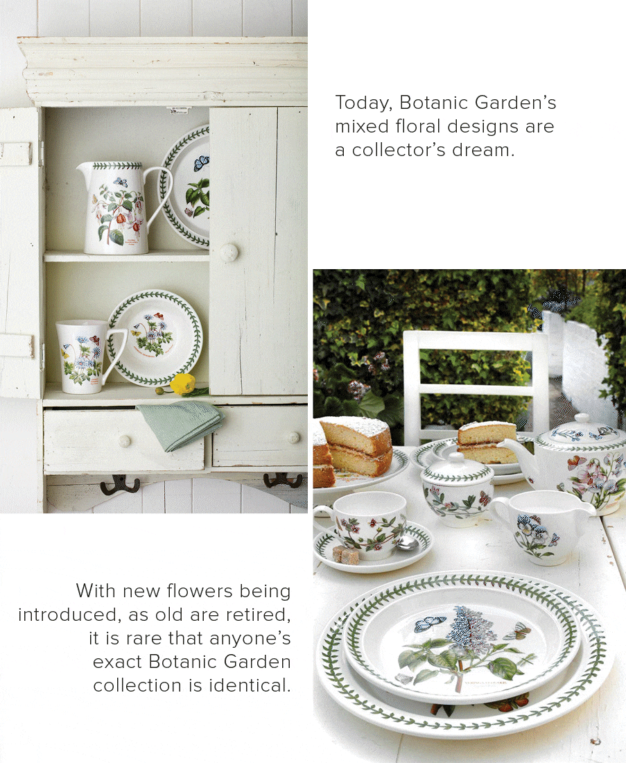 🎉50 Years of Botanic Garden🌱🍽 William Ashley