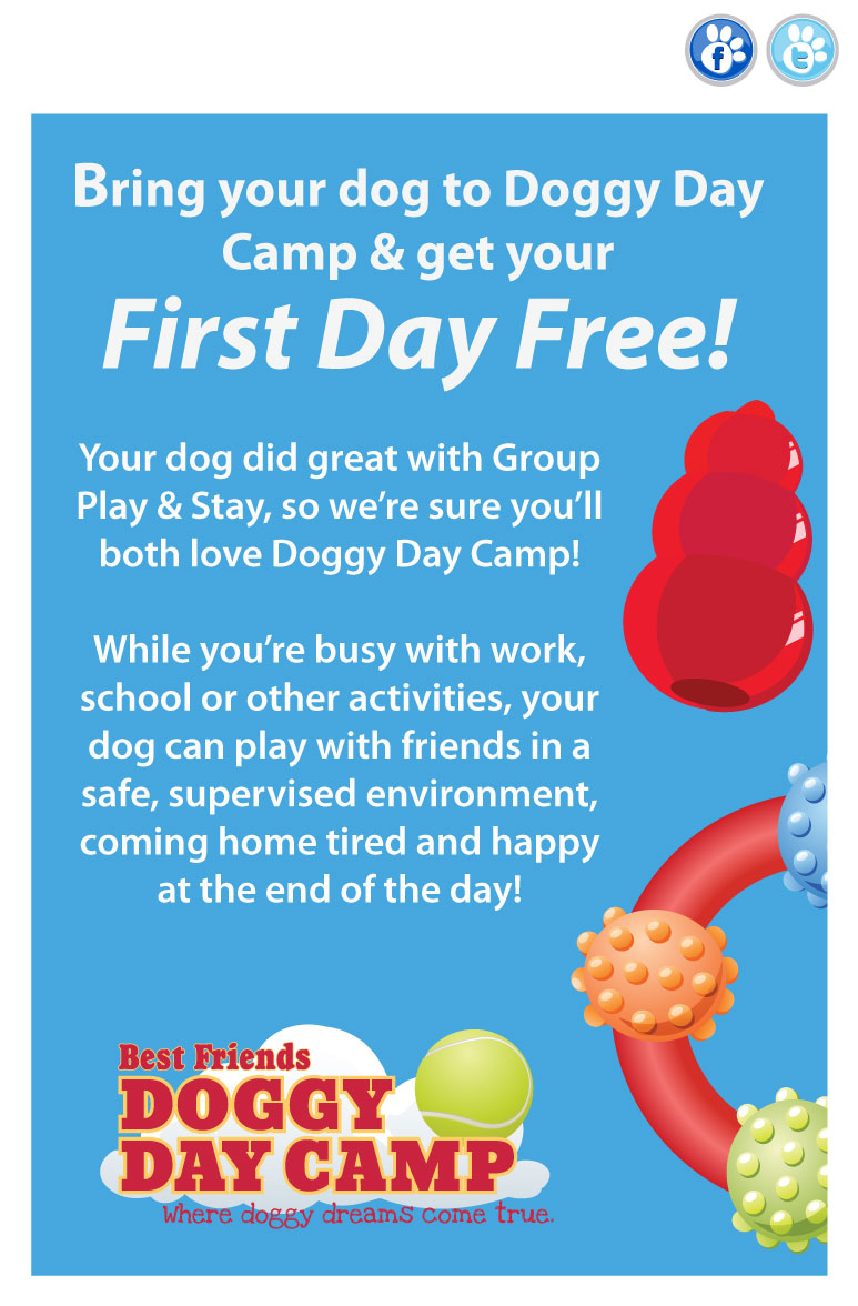 Best Friends Pet Care