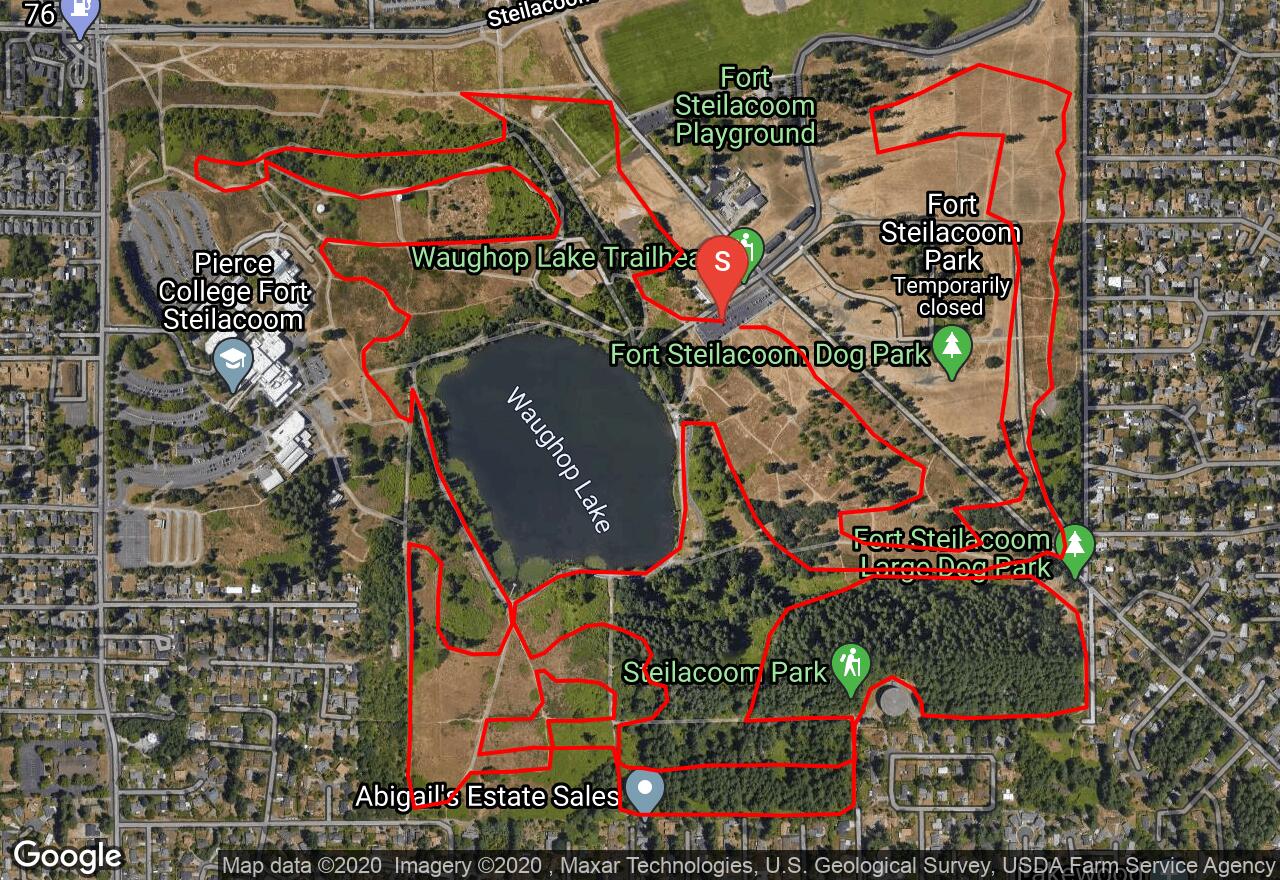 Are Dogs Allowed At Fort Steilacoom Park