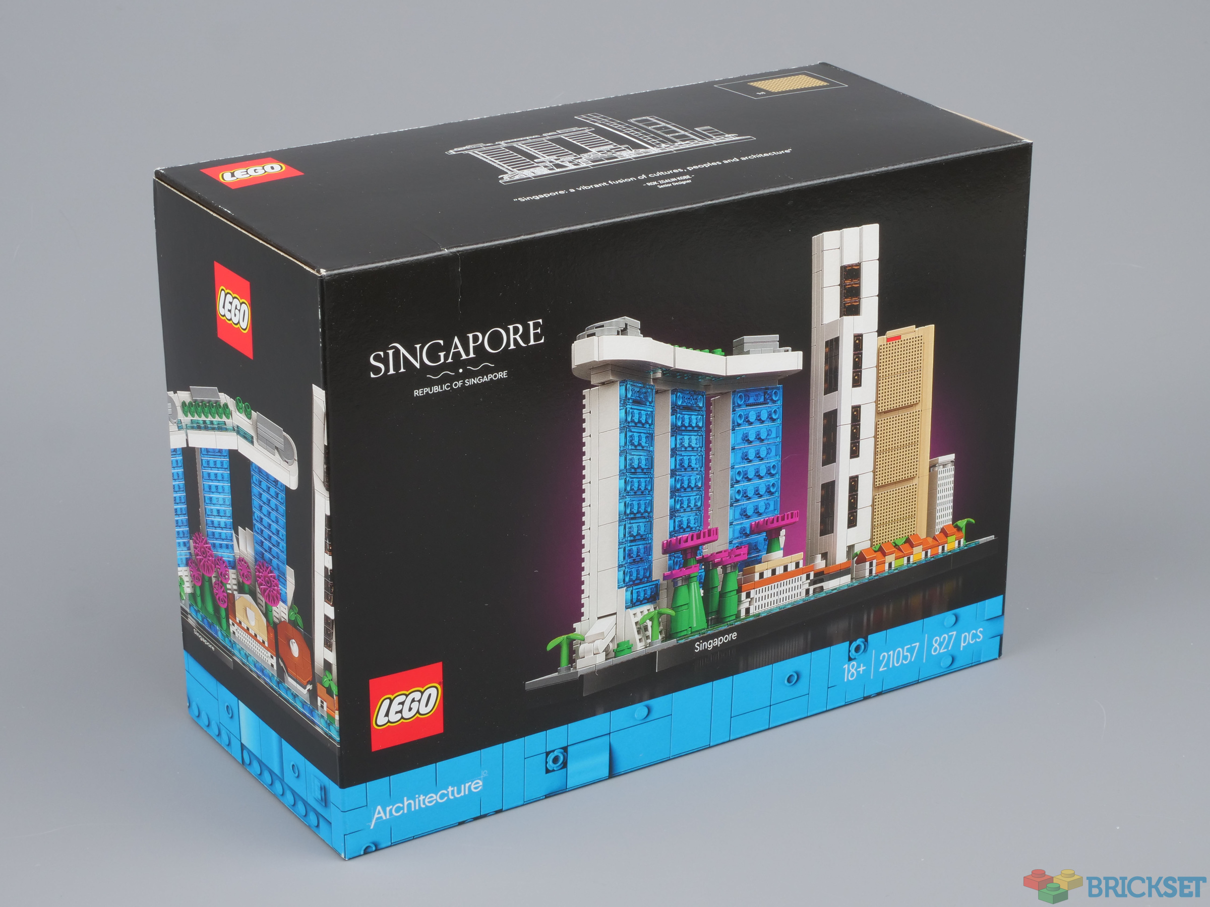 LEGO 21057 Singapore review Brickset