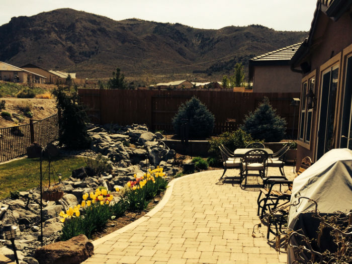 Millennium Gardens Reno NV Read Reviews + Get a Bid BuildZoom